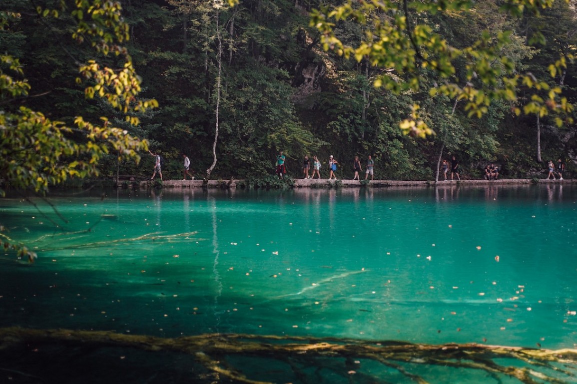 banner 1